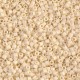 Miyuki delica beads 10/0 - Matted Opaque dark cream ab DBM-883